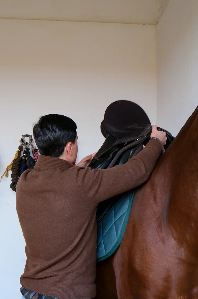 centro-hipico-quinta-das-vianas-moncao-arraiar-cavalo-4