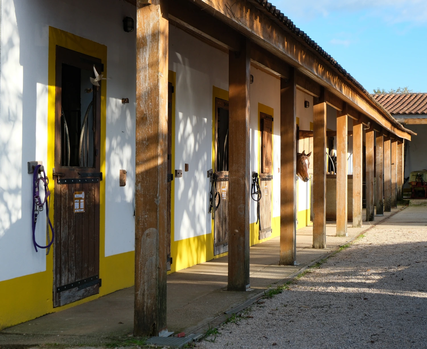 centro-hipico-quinta-das-vianas-moncao-estabulo