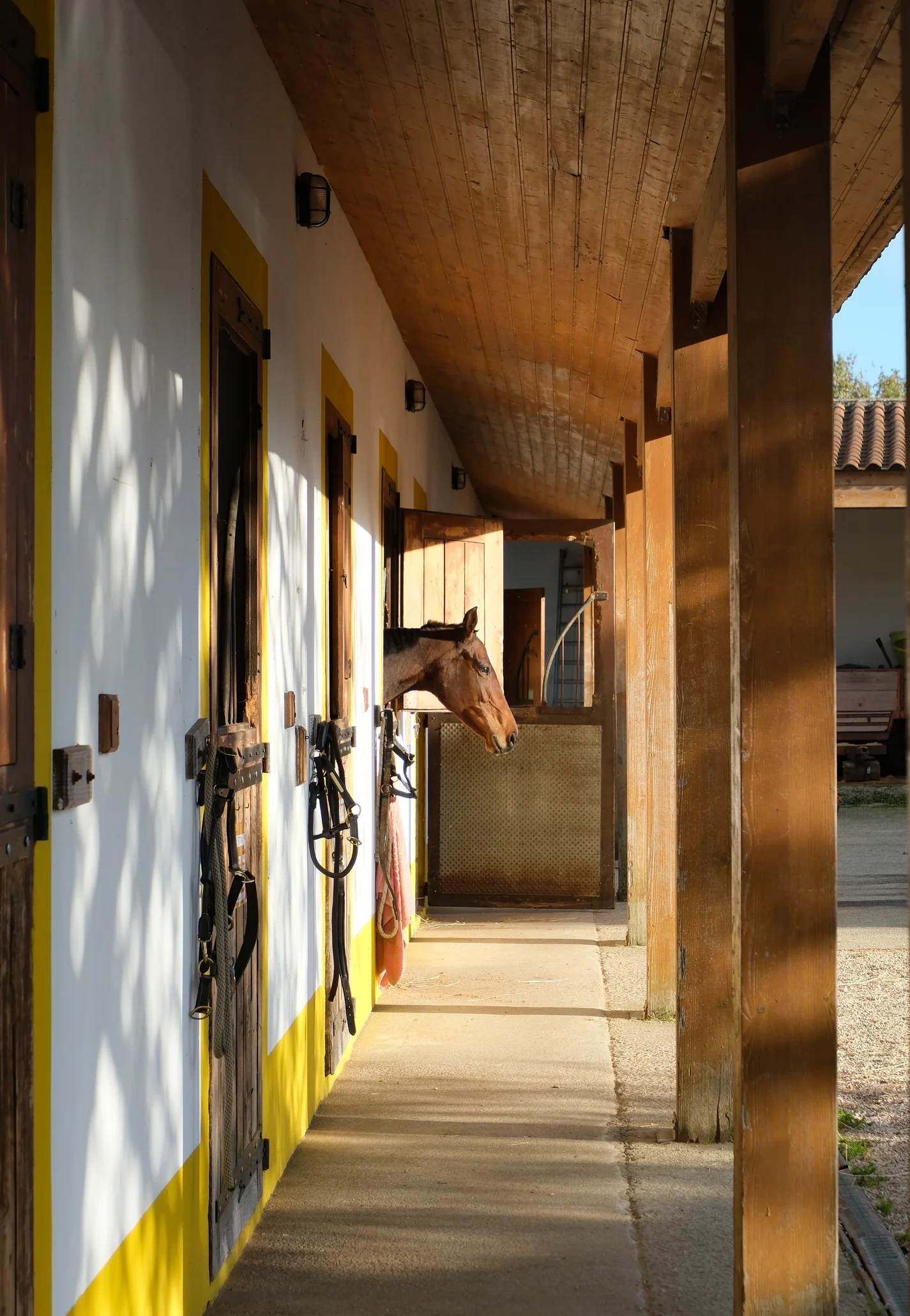 centro-hipico-quinta-das-vianas-moncao23