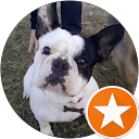 Carlos Salgado profile picture